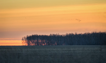 The sun rises .. / ***