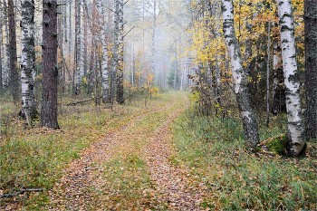 Early October / ***