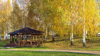 Herbst-Tag / ***