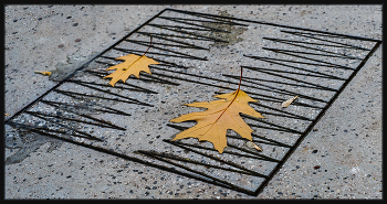  / Super -Takumar 1:1,8/55mm