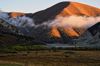 mountain valley / ***