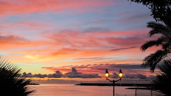 street lamps lit at sunset / street lamps lit at sunset among the plants of a garden near the sea