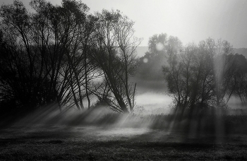 Fog dissipates / ***