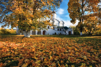Fall Leaves / ***