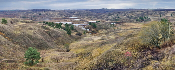 Landscape / ***