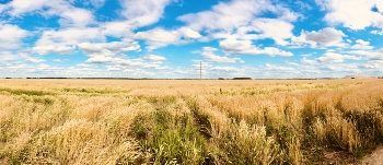 Weißrussland / ***