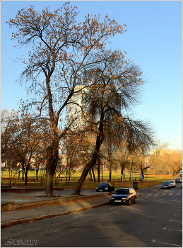 Herbst / [img]https://i.imgur.com/FjNBQ3w.jpg[/img]
 [img]https://i.imgur.com/vICN3gM.jpg[/img]