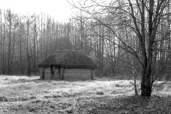 On the farm / ***