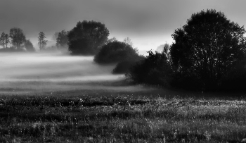 Fog dissipates / ***