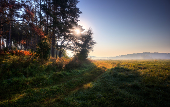 Fog dissipates / ***