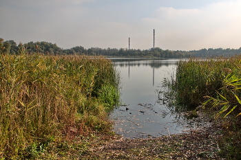 backwater / ***