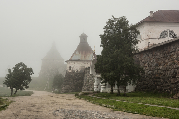 Foggy morning / ***