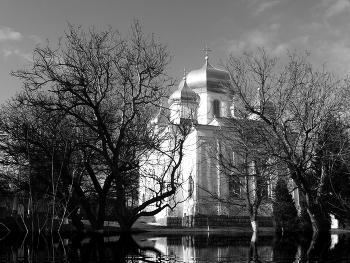 Cathedral / ***