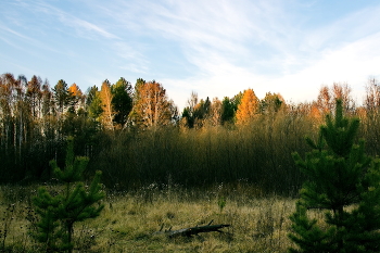 Herbstabend / ***
