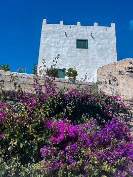 Details / Flowers, white tower &amp; the moon.