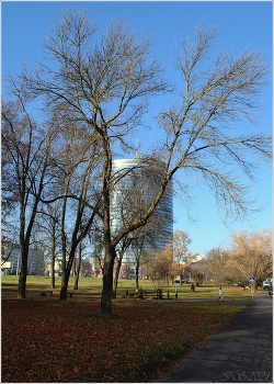 Herbst / [img]https://i.imgur.com/TiBkLrt.jpg[/img]