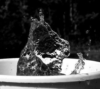 Water Hippo / A quiescent water hippo taking a calming bath