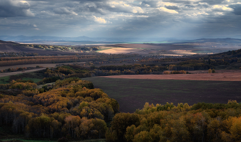 Autumn / ***