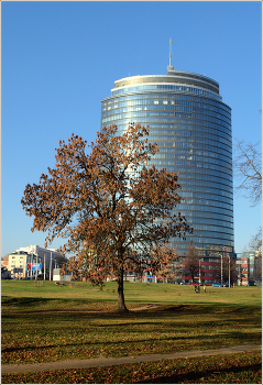 Herbst / [img]https://i.imgur.com/zgBZJpu.jpg[/img]