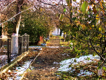 autumn motive / ***