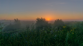 Foggy morning / ***