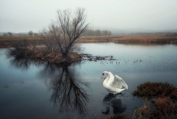 In the morning / ***