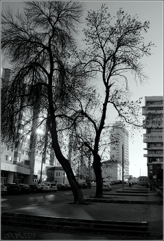 Herbst / ***