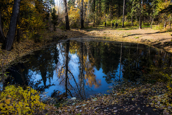 Reflection / ***