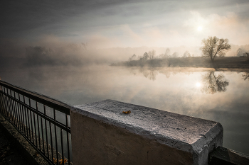 autumn morning / ***