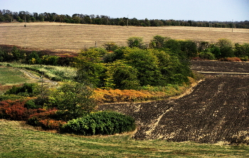 Early Autumn / ***