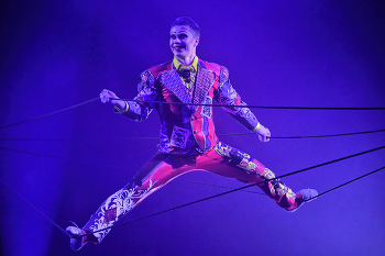 ROYAL CIRCUS / ***