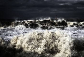 Black Sea / ***