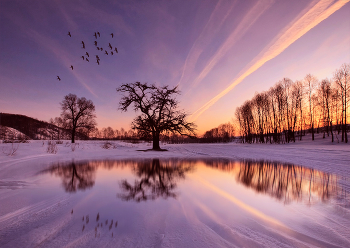 Thaw / ***