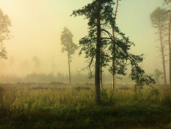 At dawn / ***