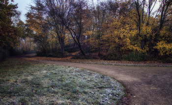 November / ***
