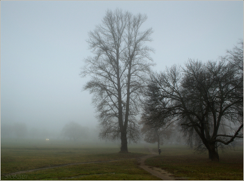im Herbstnebel / [img]https://i.imgur.com/pmUldO1.jpg[/img]