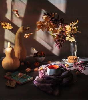 autumn / ***