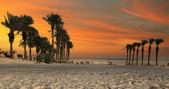 Road to the sea / ***