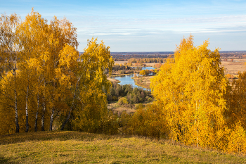 gold autumn / ***