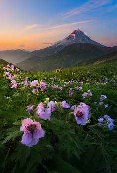 at sunset / ***