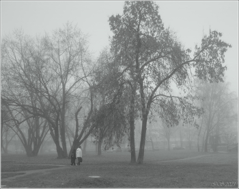im Herbstnebel / [img]https://i.imgur.com/ZRMQSKU.jpg[/img]