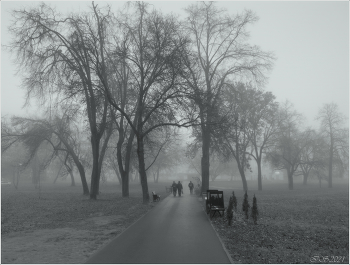 im Herbstnebel / [img]https://i.imgur.com/1lou14D.jpg[/img]