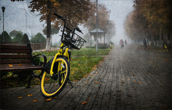 Herbst-Tag / ***