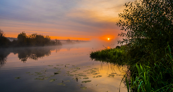 Morning in October. / ***