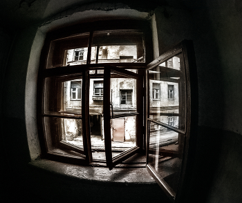 Window / ***