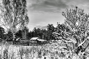 Early winter. / ***