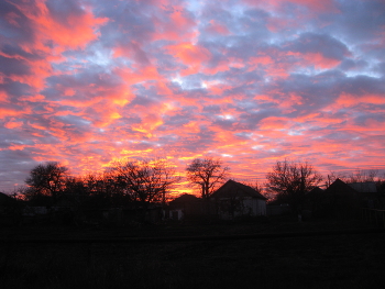 November sunset / ***