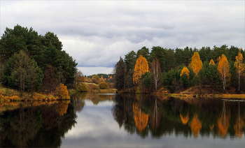 autumn / ***