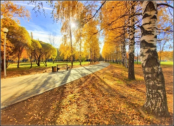 Morning walks / ***