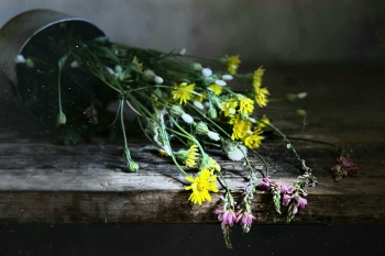 Summer bouquet / ***